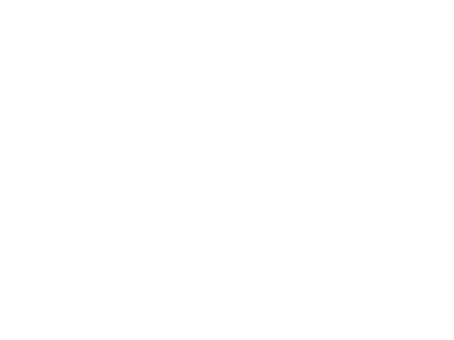 organization 2